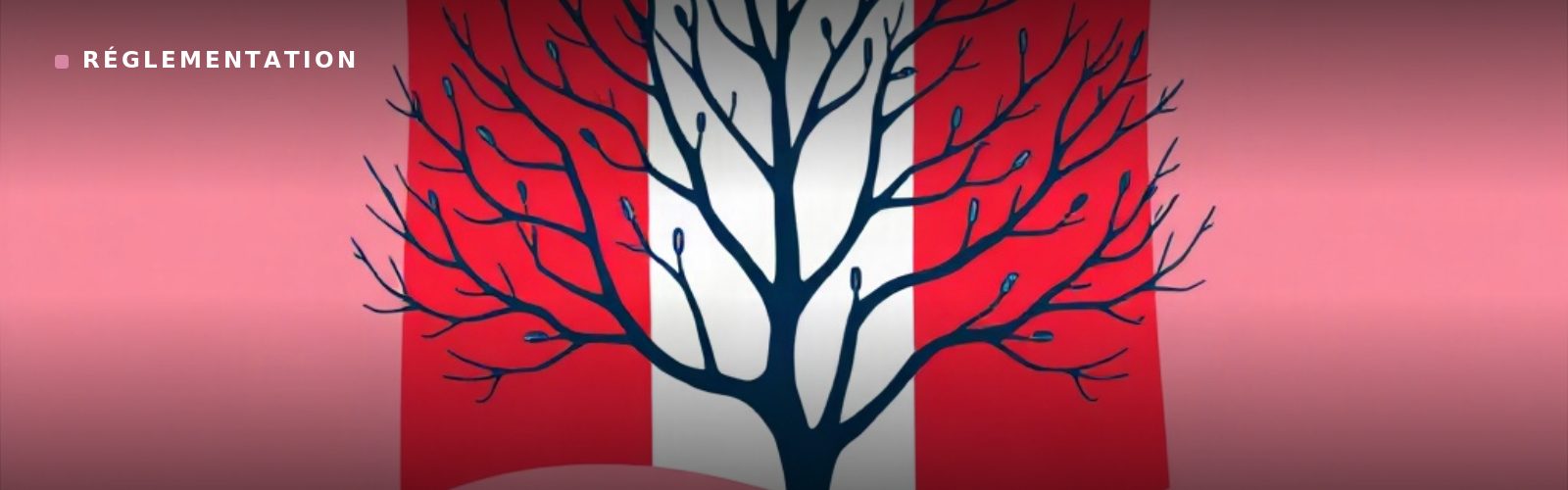 Réglementation : L'IA au service de l'État : un débat s'intensifie